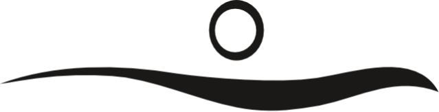 Soul Photo Logo